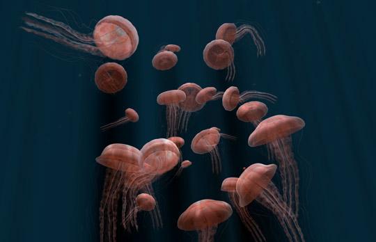 Chrysora — a WebGL jellyfish experiment